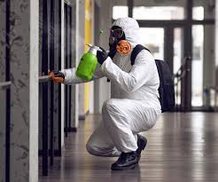 Best Commercial Mold Inspection in Mford, IL